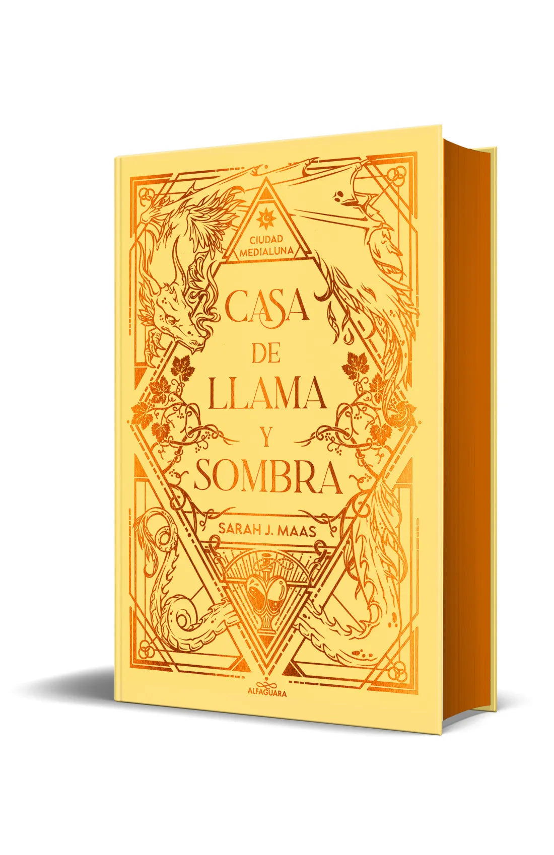 Casa de llama y sombra de Sarah J. Maas ed especial