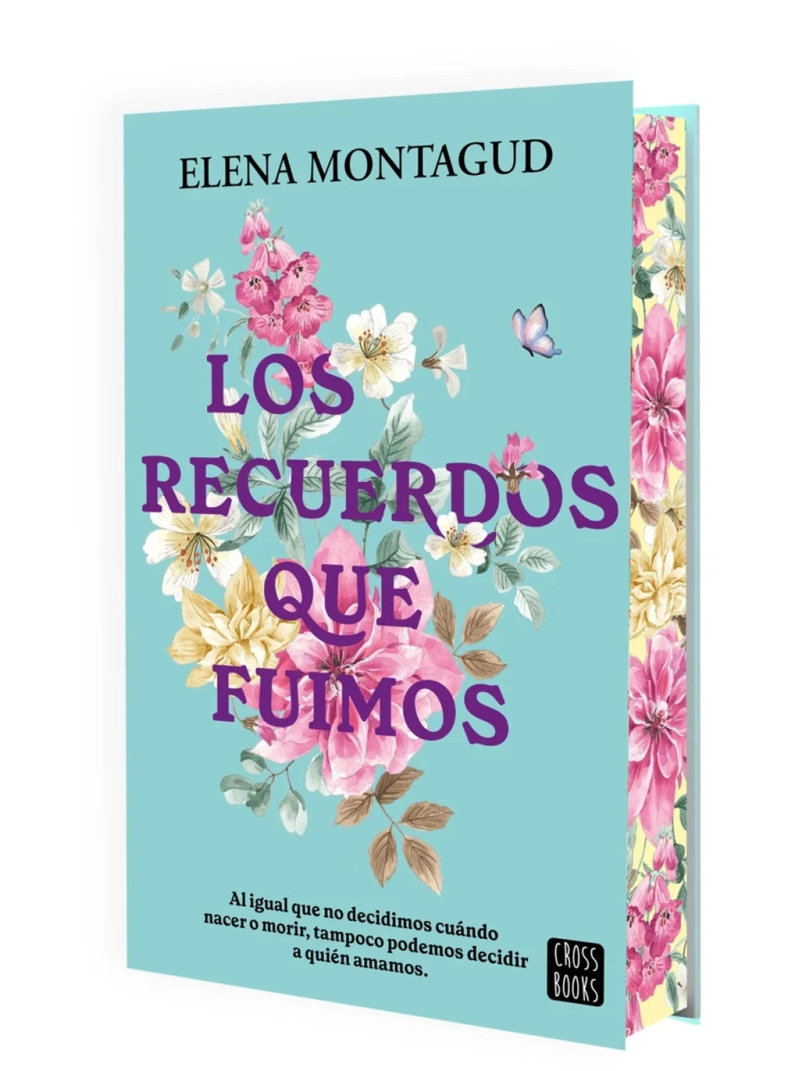 Los recuerdos que fuimos de Elena Montagud