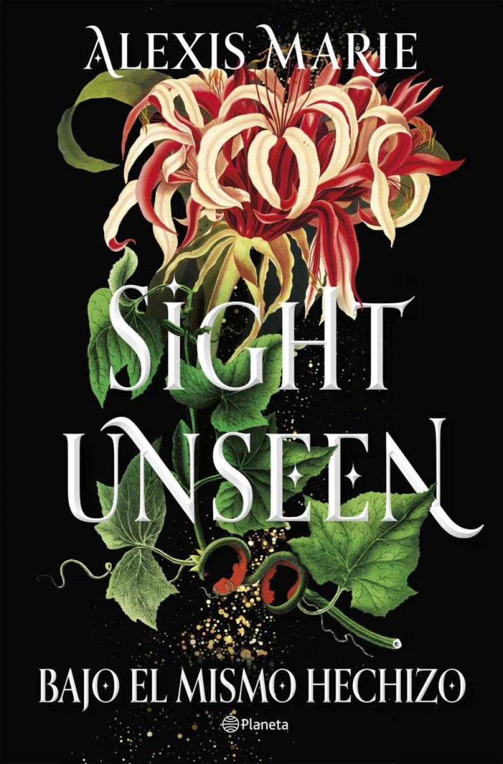 Sight Unseen. Bajo el mismo hechizo de Alexis Marie
