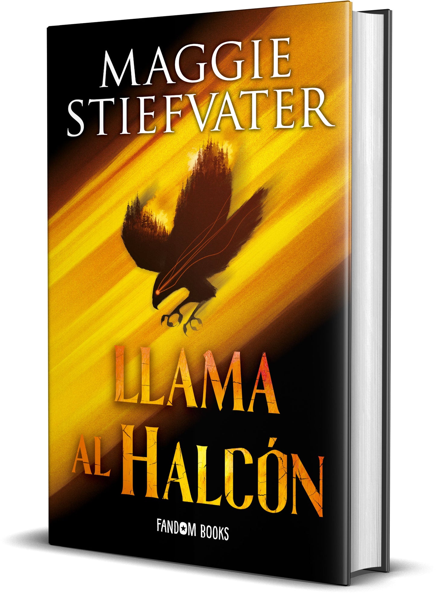 Llama al halcón de Maggie Stiefvater