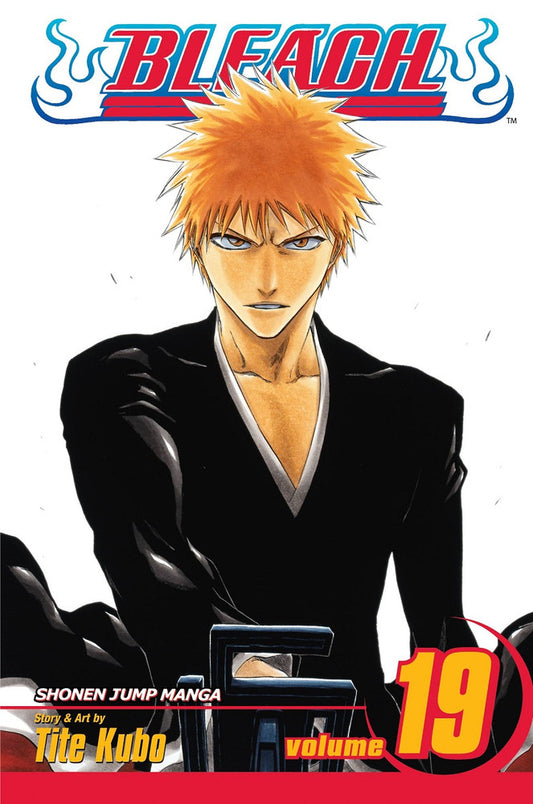 Bleach Manga Volume 19. PREVENTA (INGLÉS)