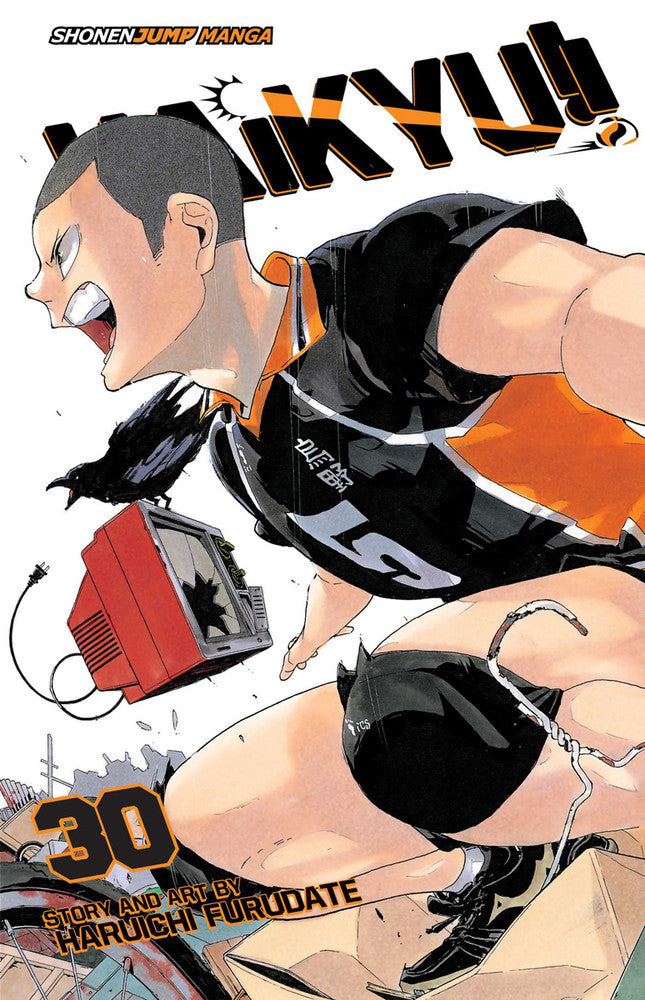 Haikyu!! Manga Volume 30. PREVENTA (INGLÉS)