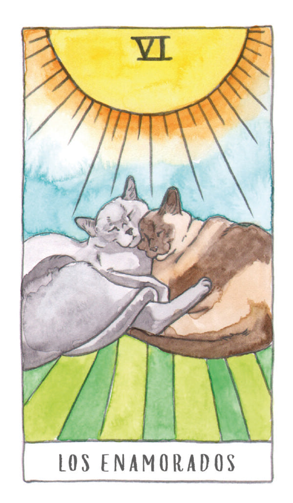 El tarot de los gatos