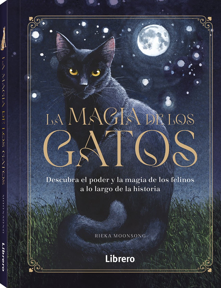 La magia de los gatos