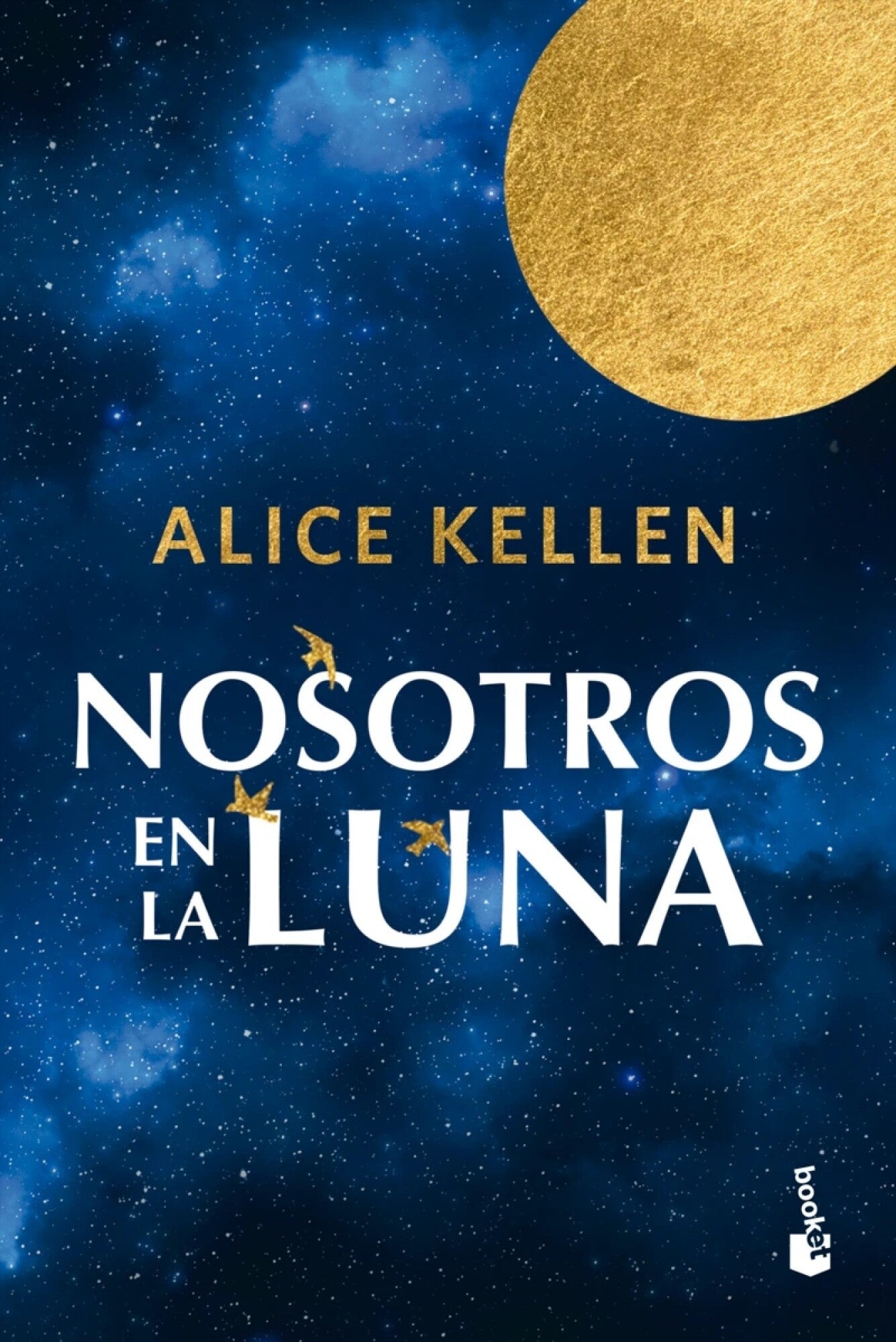 Nosotros en la luna